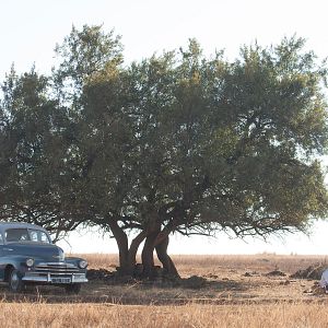 Bilder Naomie Harris