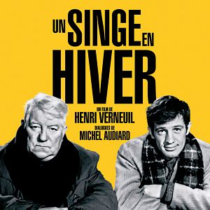 Bilder Ein Affe im Winter