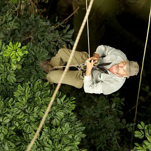 Bilder Das Geheimnis der Bäume