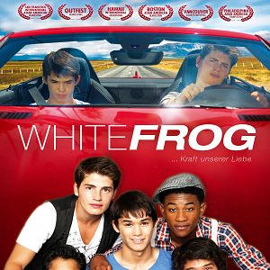 Bilder White Frog ... Kraft unserer Liebe