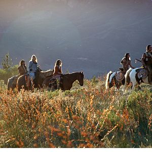 Bilder In einem wilden Land