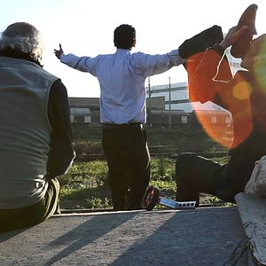 Bilder C'est eux les chiens...