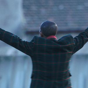 Bilder C'est eux les chiens...