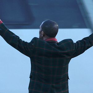 Bilder C'est eux les chiens...