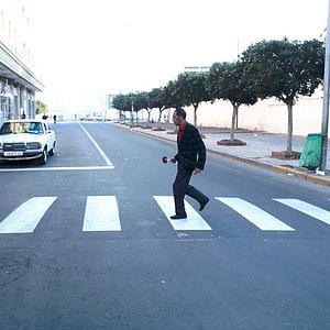 Bilder C'est eux les chiens...