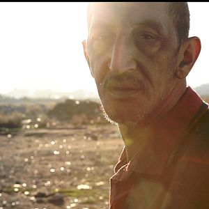 Bilder C'est eux les chiens...