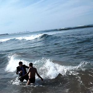 Bilder C'est eux les chiens...