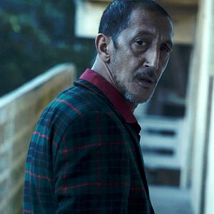 Bilder C'est eux les chiens...