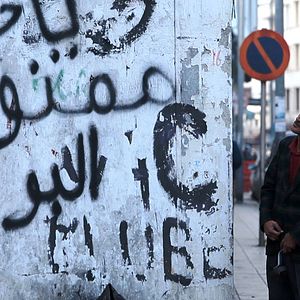 Bilder C'est eux les chiens...