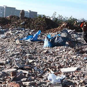 Bilder C'est eux les chiens...