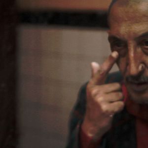 Bilder C'est eux les chiens...