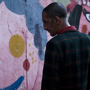 Bilder C'est eux les chiens...