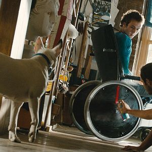 Bilder Aras Bulut İynemli