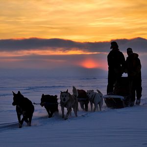 Bilder Die Familie mit den Schlittenhunden