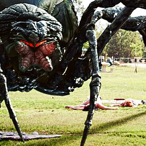 Bilder Big Ass Spider!