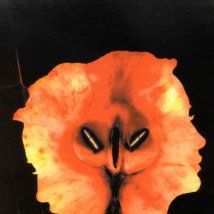 Bilder Manhattan Midnight