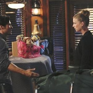 Bilder Nick Wechsler (II)