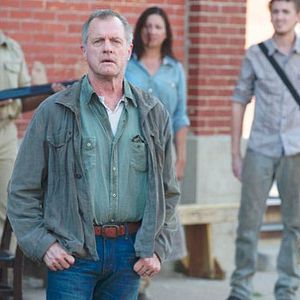 Bilder Stephen Collins