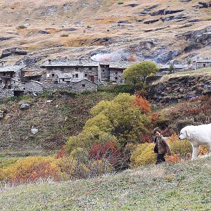 Bilder Belle & Sebastian