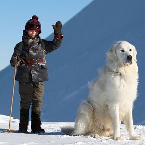 Bilder Belle & Sebastian