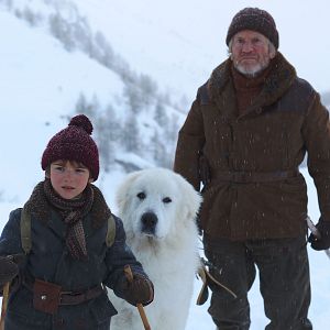 Bilder Belle & Sebastian