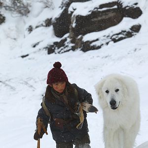 Bilder Belle & Sebastian