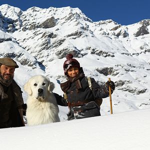 Bilder Félix Bossuet