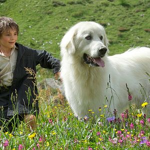 Bilder Félix Bossuet