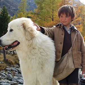 Bilder Félix Bossuet