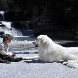 Bilder Belle & Sebastian