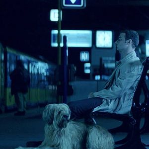 Bilder A Perfect Man