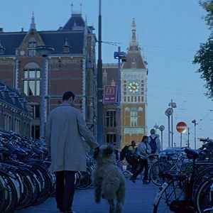 Bilder A Perfect Man