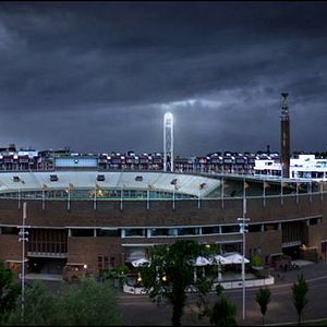 Bilder A Perfect Man