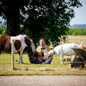 Bilder Matterhorn - Wo die Liebe hinfällt