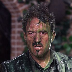 Bilder Millionaire Dog