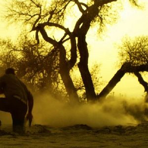 Bilder Snaked Fear - Wüste des Terrors