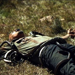 Bilder Snaked Fear - Wüste des Terrors