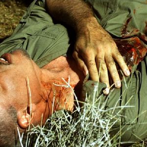 Bilder Snaked Fear - Wüste des Terrors