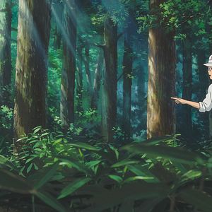 Bilder Wie der Wind sich hebt