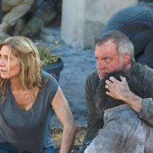 Bilder Elizabeth Mitchell