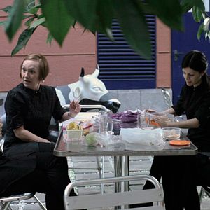 Bilder Alaba zintzoa