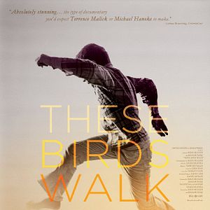 Bilder These Birds Walk