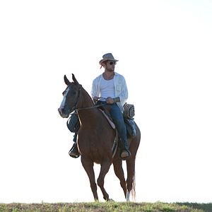 Bilder Straight A's - Jede Familie hat ein schwarzes Schaf