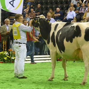 Bilder Die schöne Krista