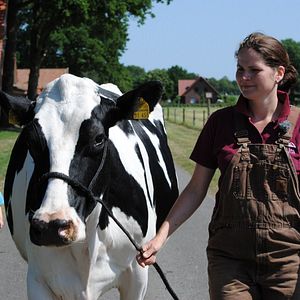 Bilder Die schöne Krista