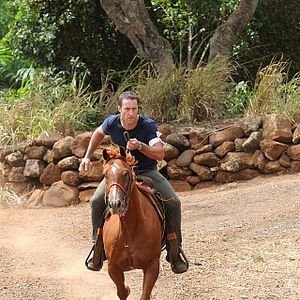 Bilder Hawaii Five-0