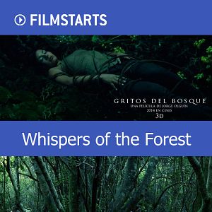 Bilder Whispers of the Forest