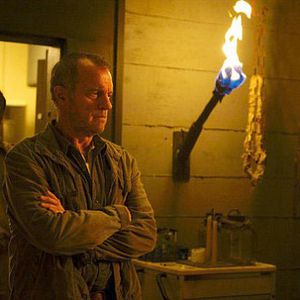 Bilder Stephen Collins