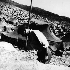 Bilder Wie steinerne Löwen am Eingang der Nacht