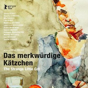Bilder Das merkwürdige Kätzchen